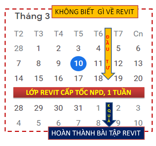 Học Revit cấp tốc chỉ 1 tuần