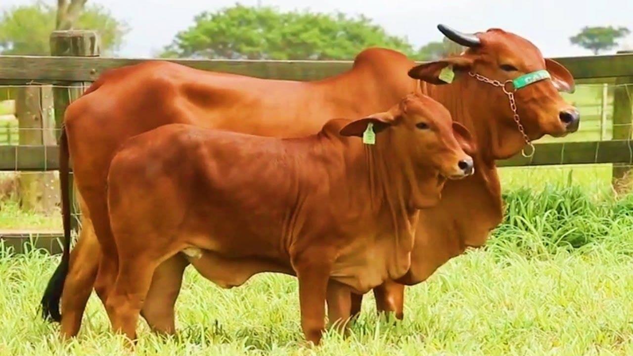 ĐẶC THÙ CỦA BẢN VẼ THIẾT KẾ XÂY DỰNG